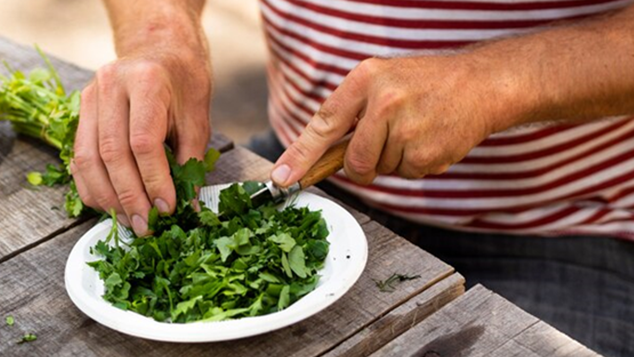 Kale Face Wash Unlock the Power of Nourishing Cleansing for Men's Skincare
